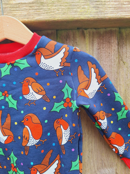 Robin jumper