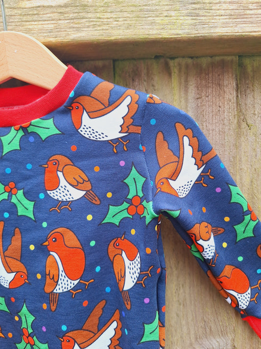 Robin jumper