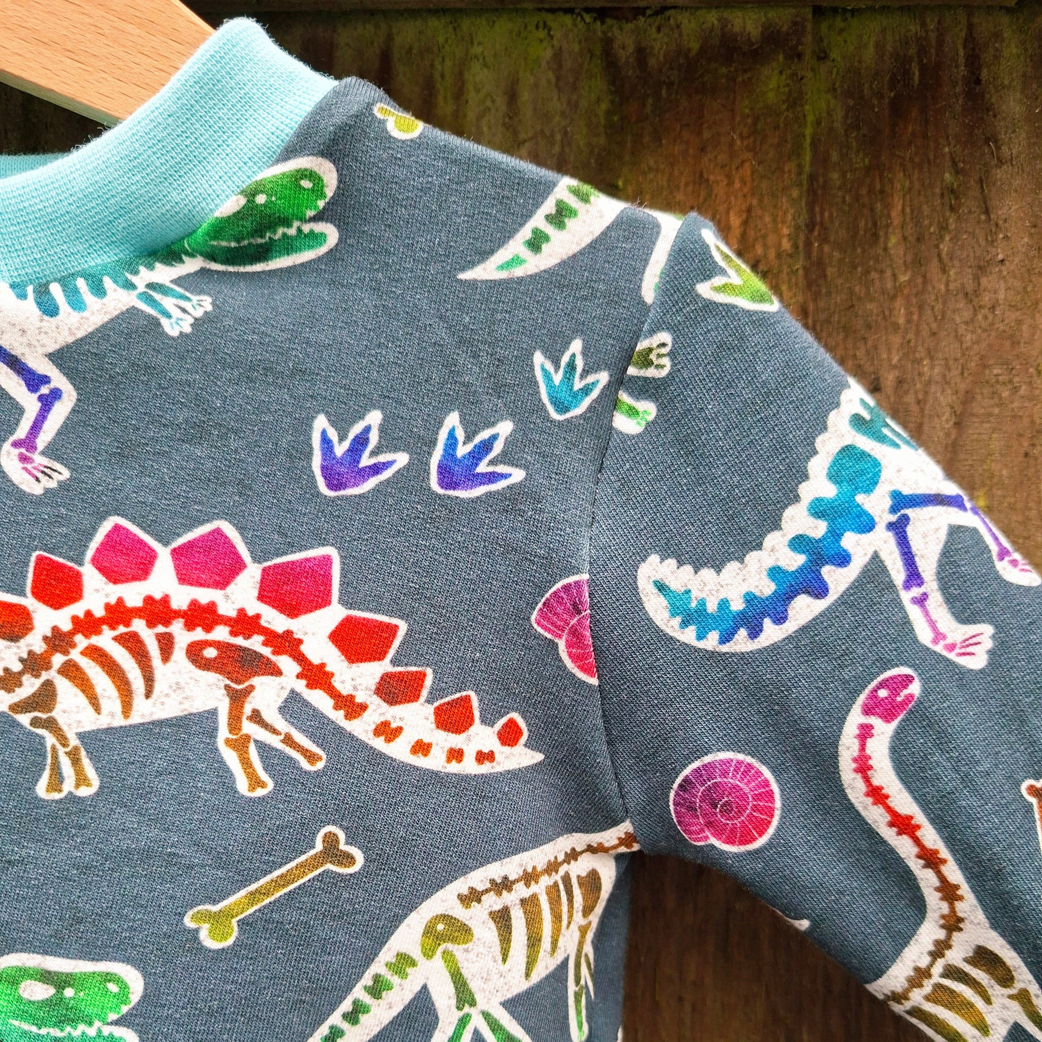 Dino Bones Jumper